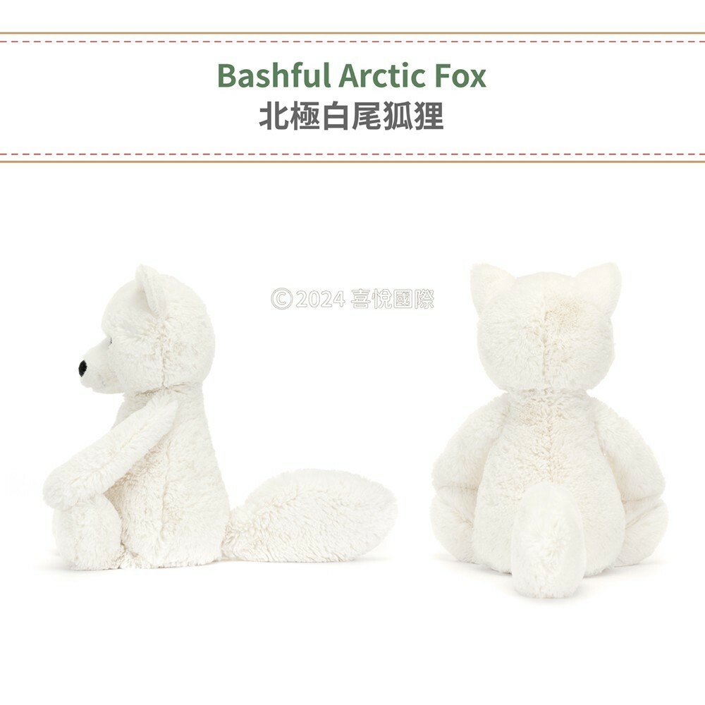 樂森藥局】Jellycat Bashful Arctic Fox 北極白尾狐狸31cm/公分