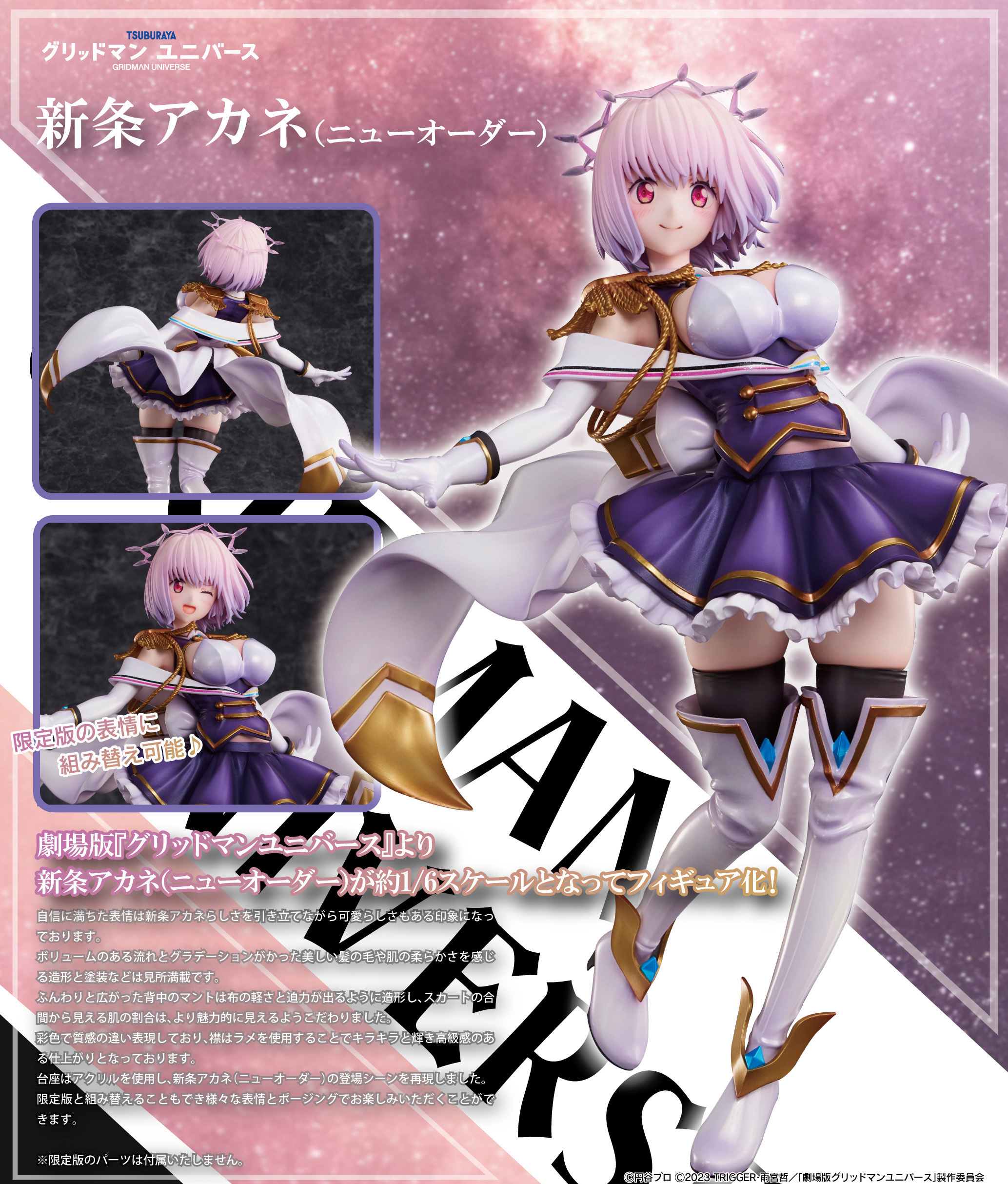 "GRIDMAN UNIVERSE" Shinjo Akane (New Order)