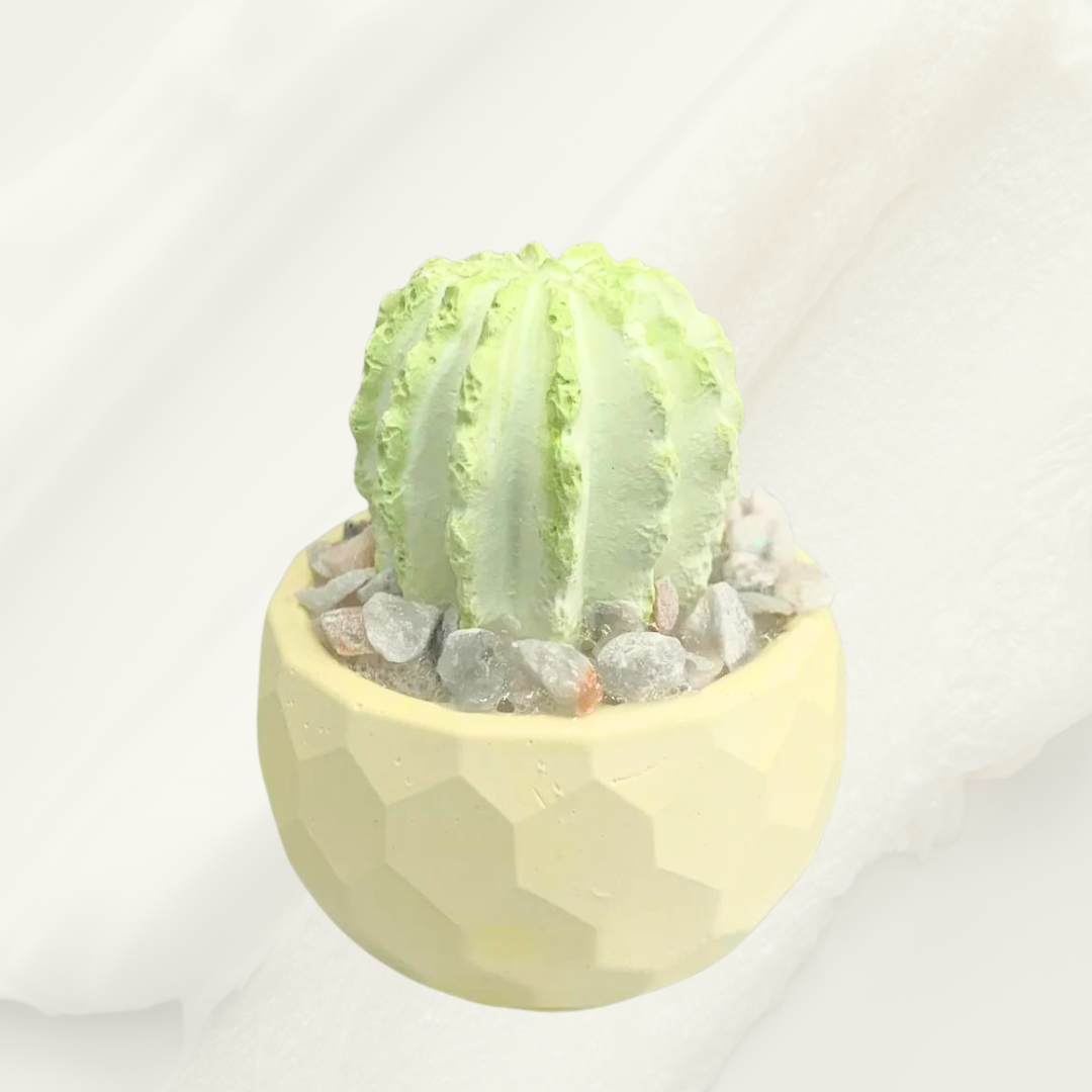 DIY款-簡單小盆栽