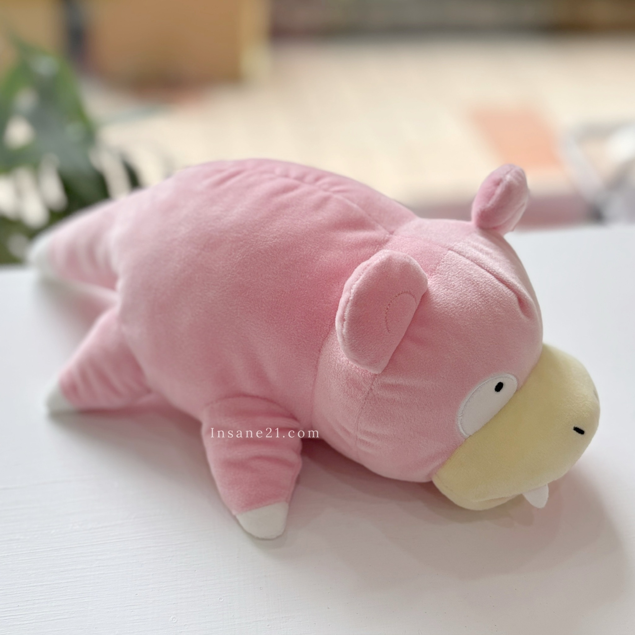 POKEMON 寶可夢 基本款娃娃