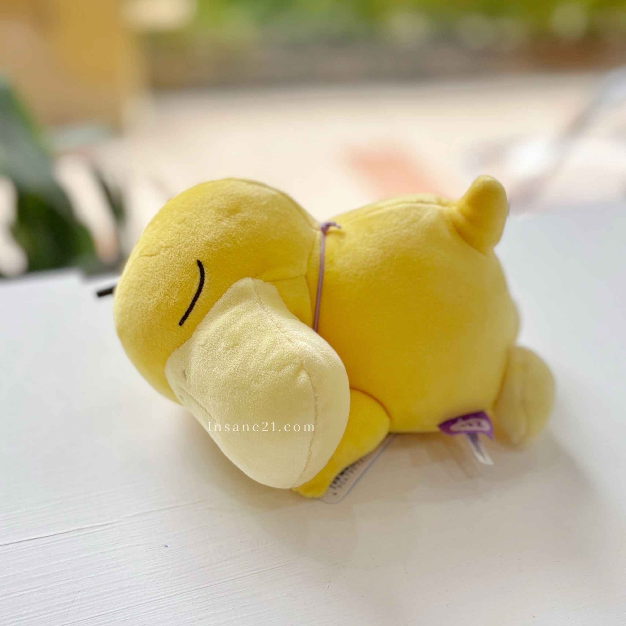 POKEMON寶可夢 睡覺版 娃娃 玩偶