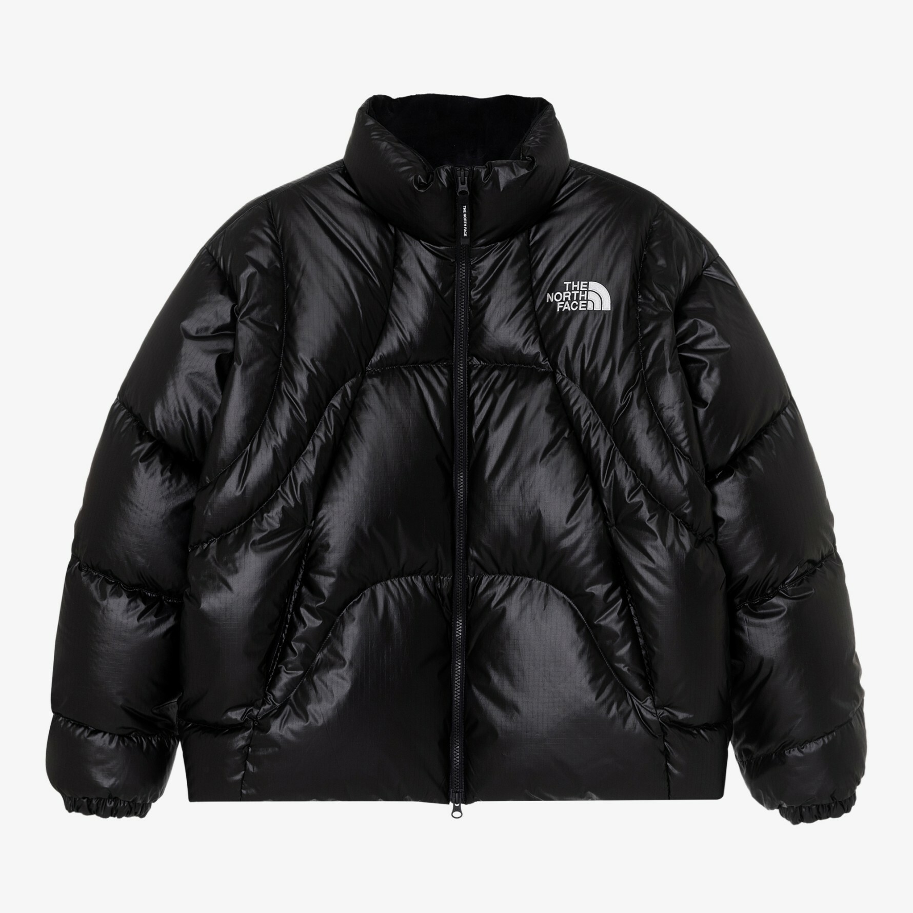 【代購】THE NORTH FACE 北臉 白標 WAVE RDS 羽絨 外套 NJ1DQ55