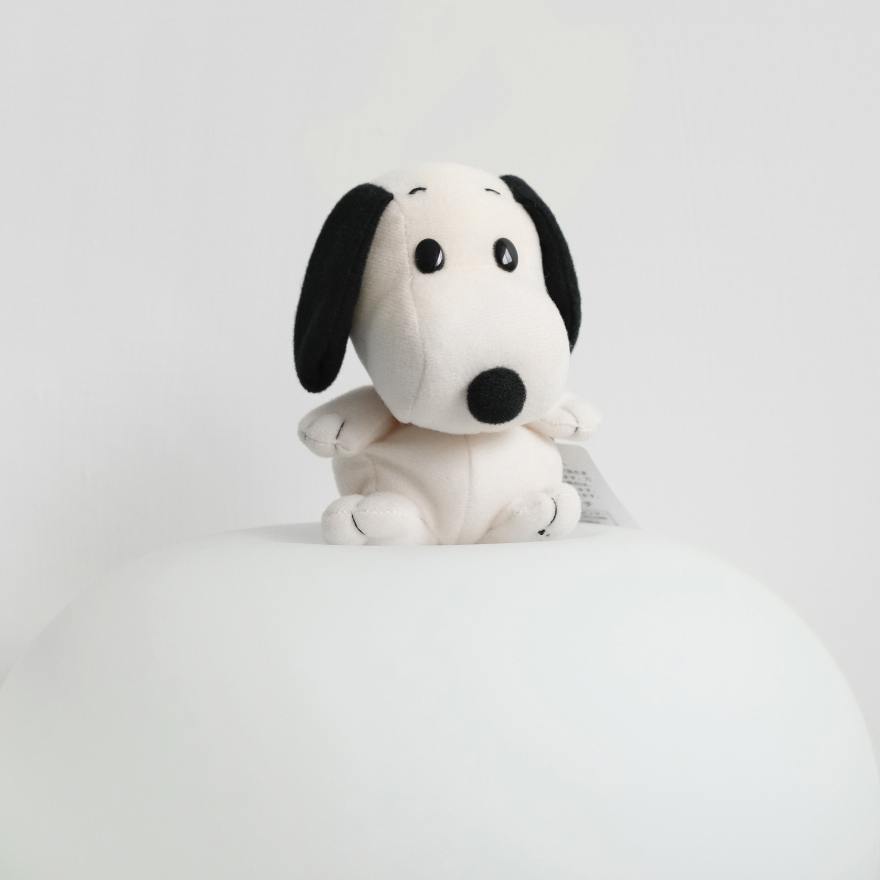 現貨┃SNOOPY 史努比 查理 絕版 沙包娃娃 擺飾