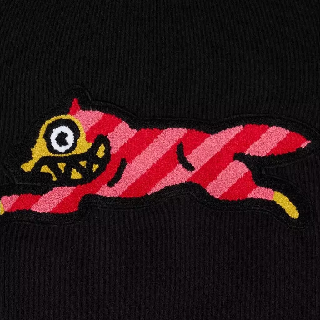 BBC IC DAWG L/S HOODIE