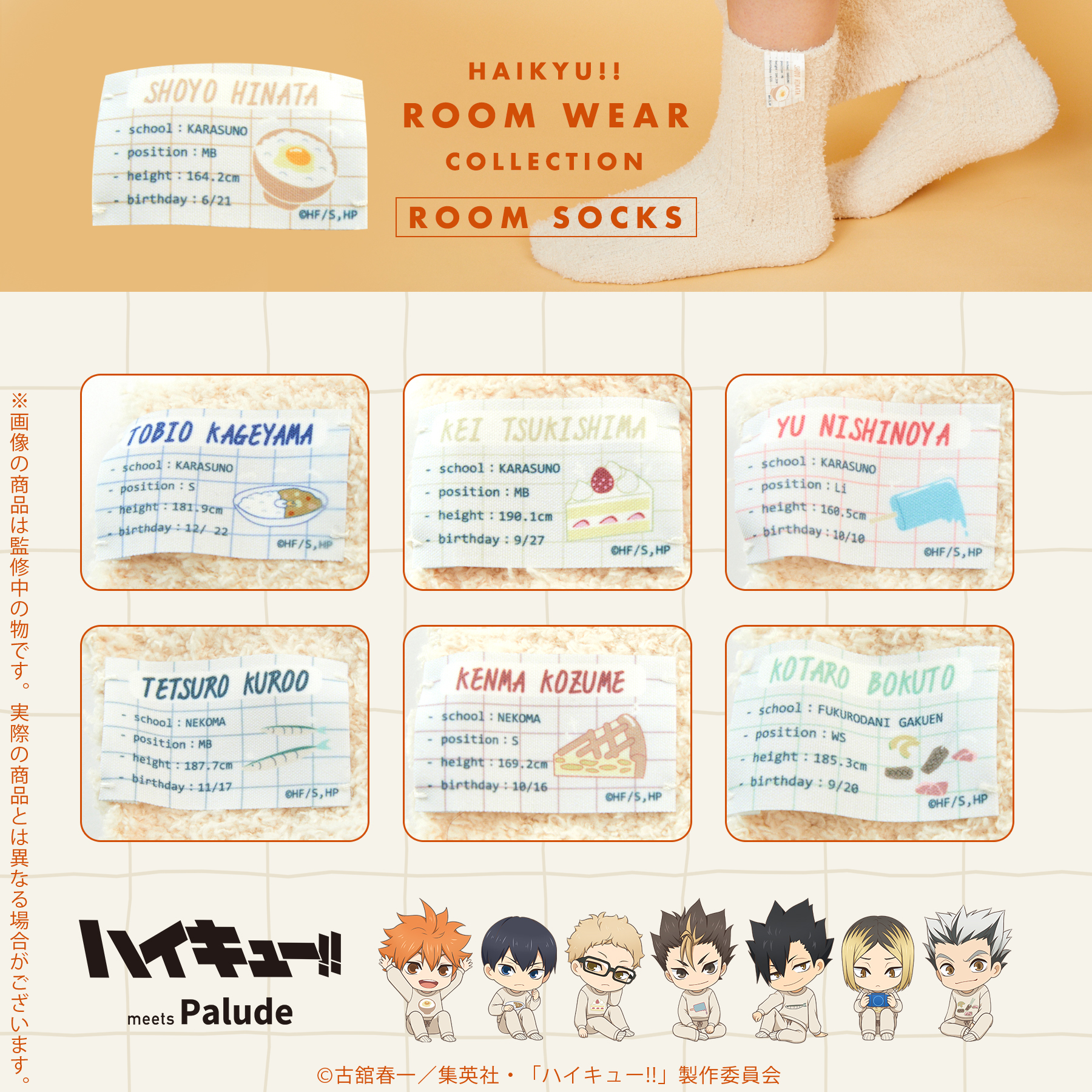 「ACG.GO」「預購」日版 排球少年 房間襪