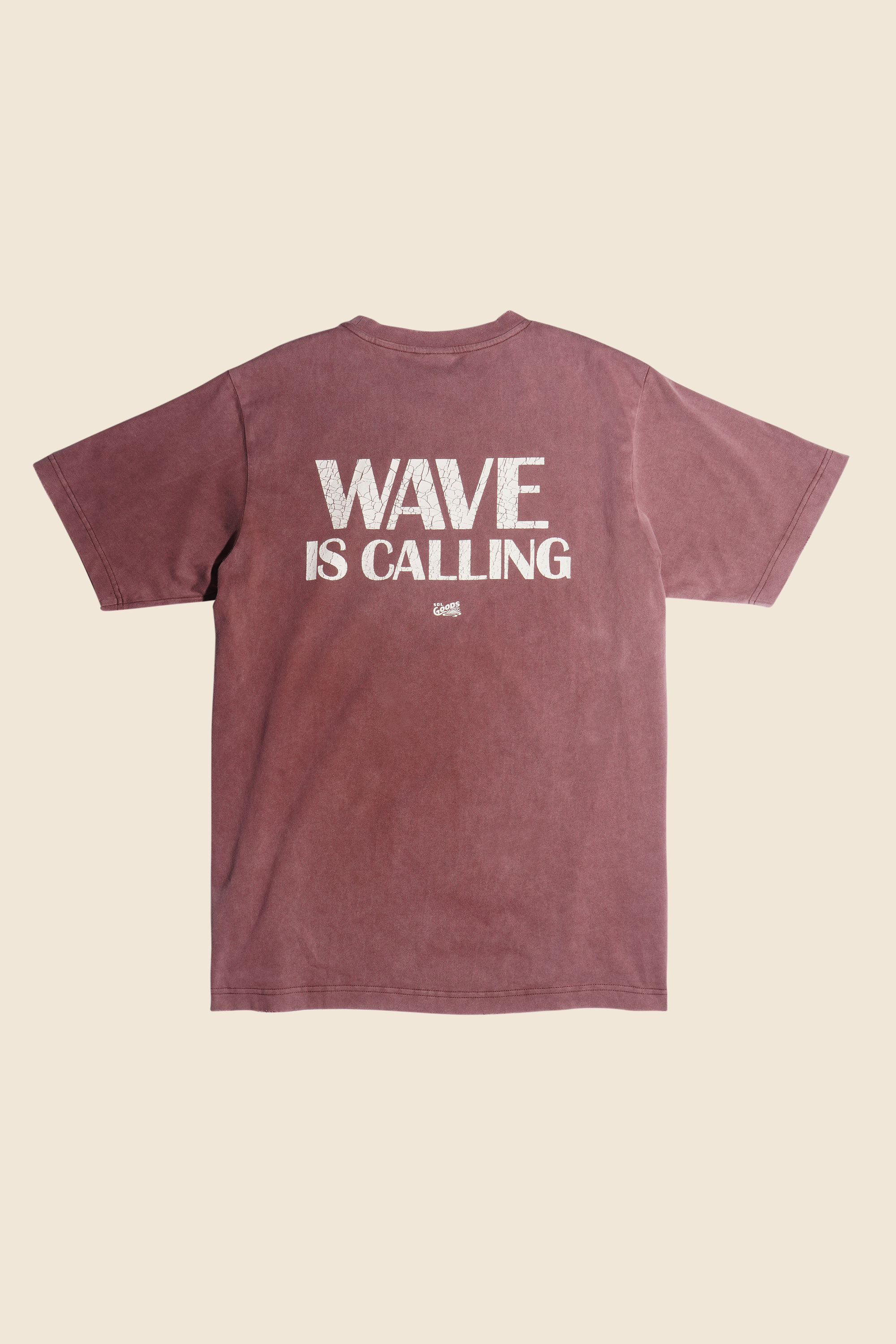 HANG TEN x SOL GOODS - BACK TO ORIGINAL短TEE - 布朗棕