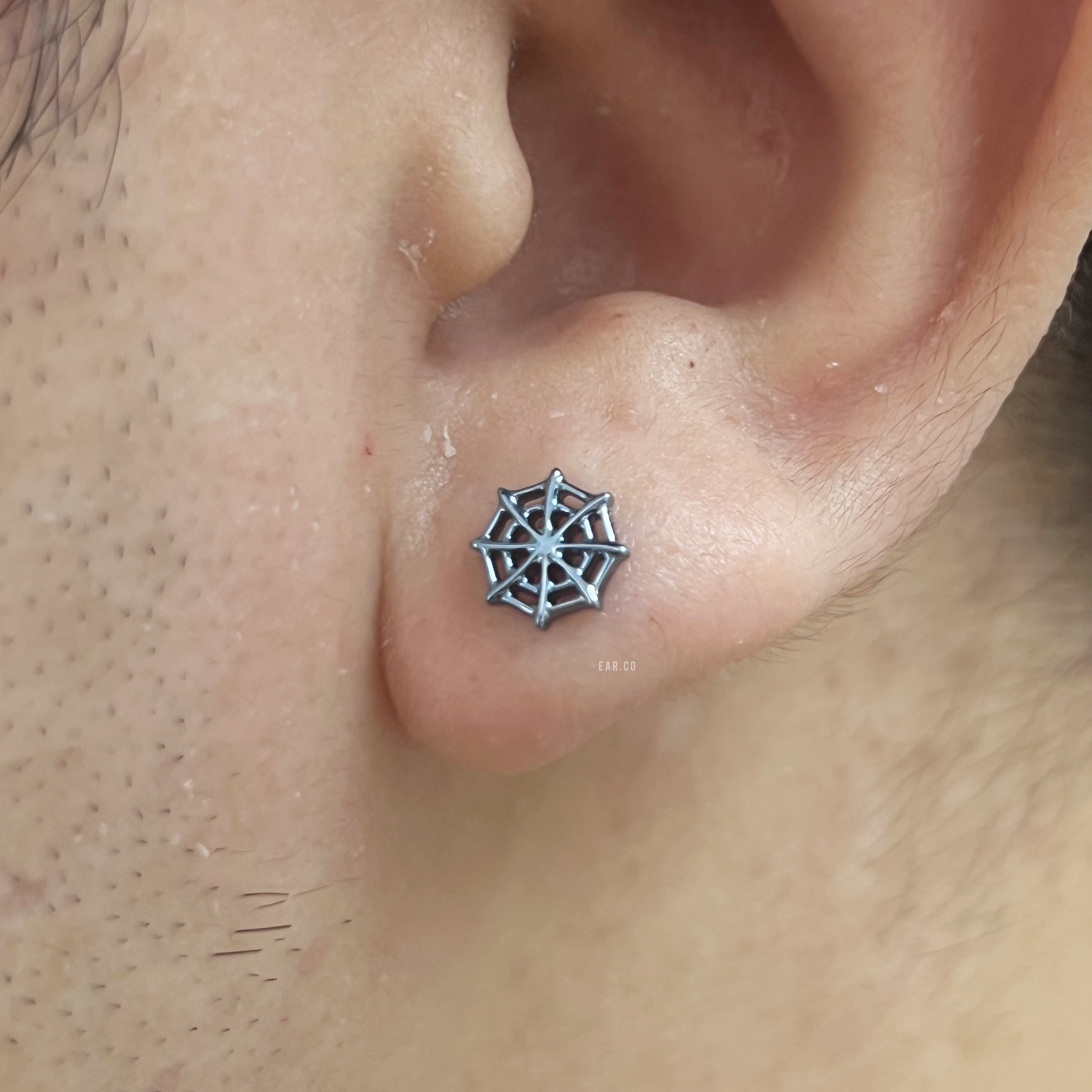 蜘蛛網平頭耳門/耳珠/耳骨釘 [G23 Titanium]