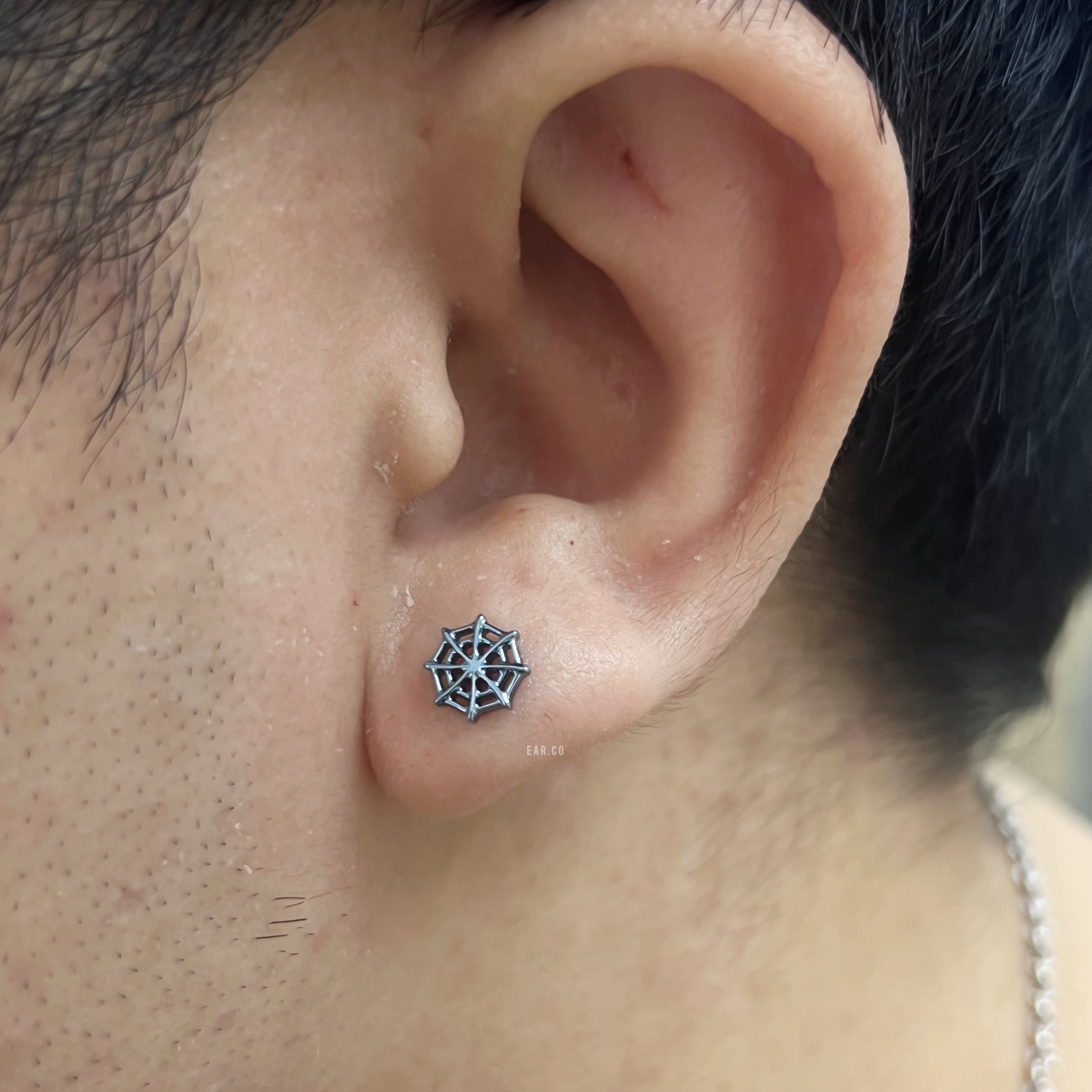 蜘蛛網平頭耳門/耳珠/耳骨釘 [G23 Titanium]