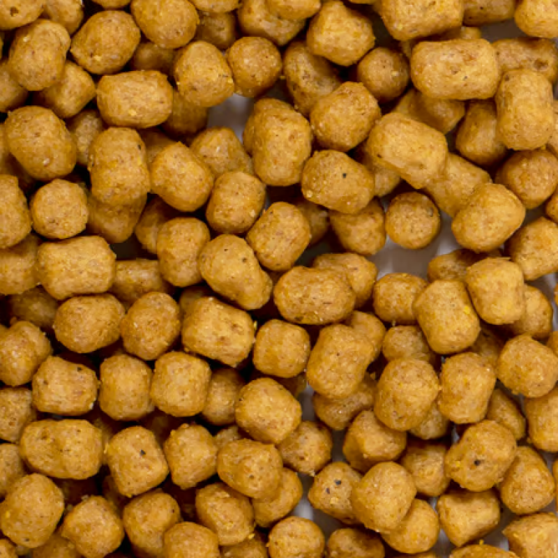 [一件包郵] Psittacus 鸚鵡糧 - 3kg (到期日:2027年5月)