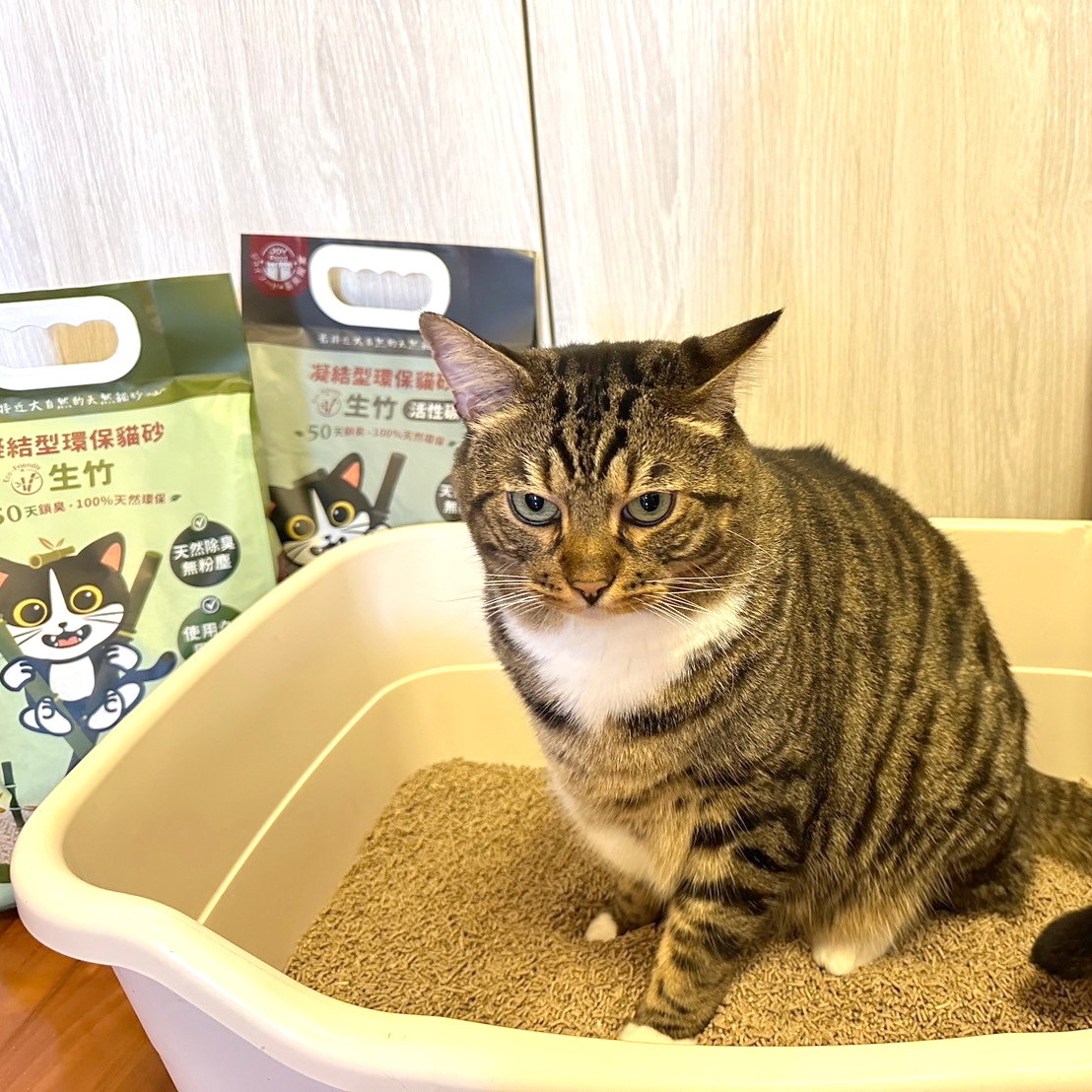 凝結型環保生竹貓砂 - 3款(原生竹砂、烏龍茶、活性碳) 寄倉免運&享優惠折扣，每月送到家