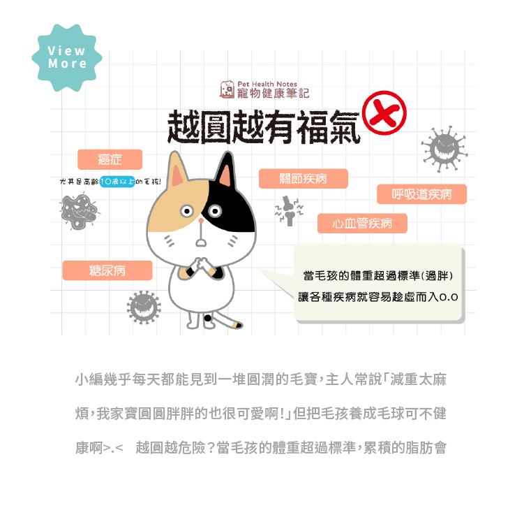 寵物,毛孩,貓咪,狗狗,健康,犬貓,寵物專用,江世明獸醫師,獸醫師,檢查治療,獸醫團隊,寵物眼睛健康筆記,狗貓眼睛,動物醫院,減重,寵物健康筆記,pethealthnote,pethealth,weightlosss,petcare,寶昕,J.VET