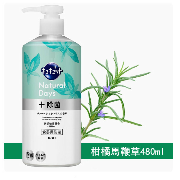 KAO/花王--餐具洗潔精按壓擠壓廚房濃縮洗碗液【不傷手去油】按壓款-柑橘馬鞭草480mlx1瓶裝