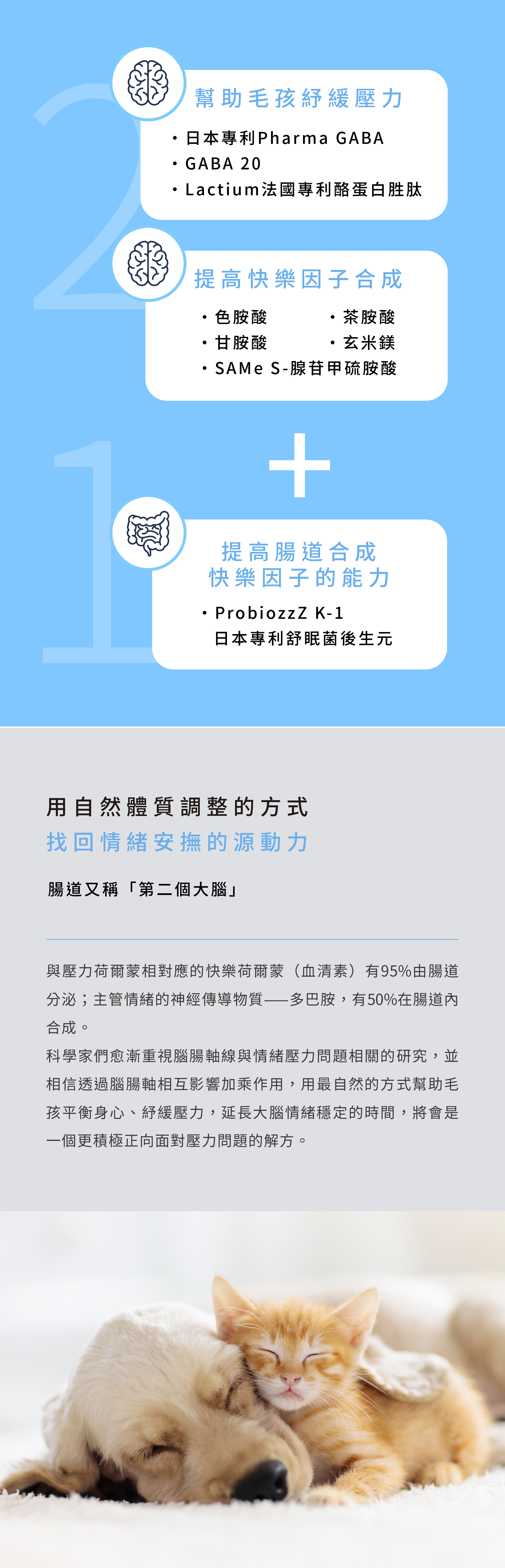 提高快樂因子合成率,維持寵物情緒穩定