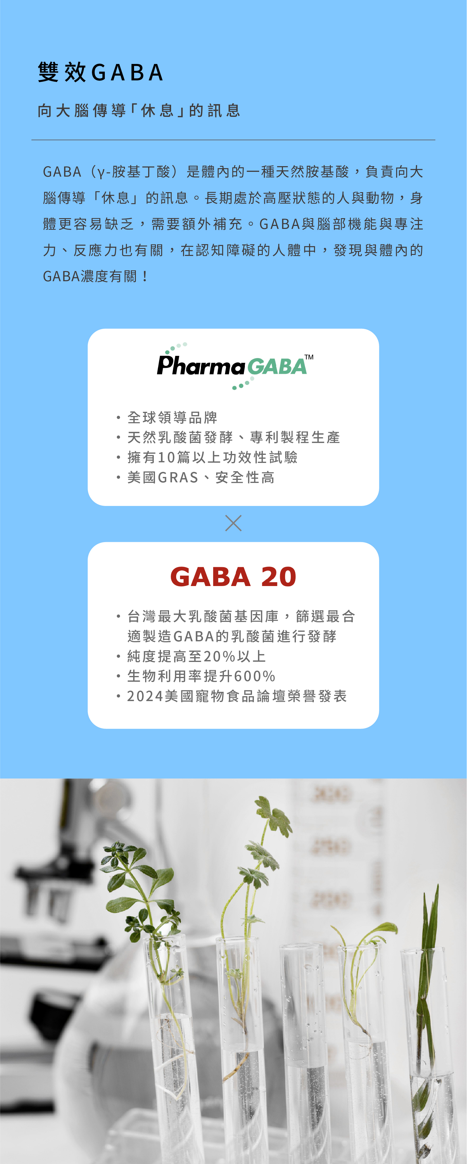 雙效GABA維持寵物情緒穩定