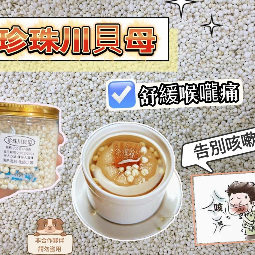 (464)川貝母200g （雙手抱月）