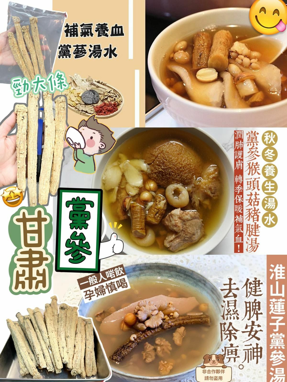 (481)精選獅子頭大紋黨參600g