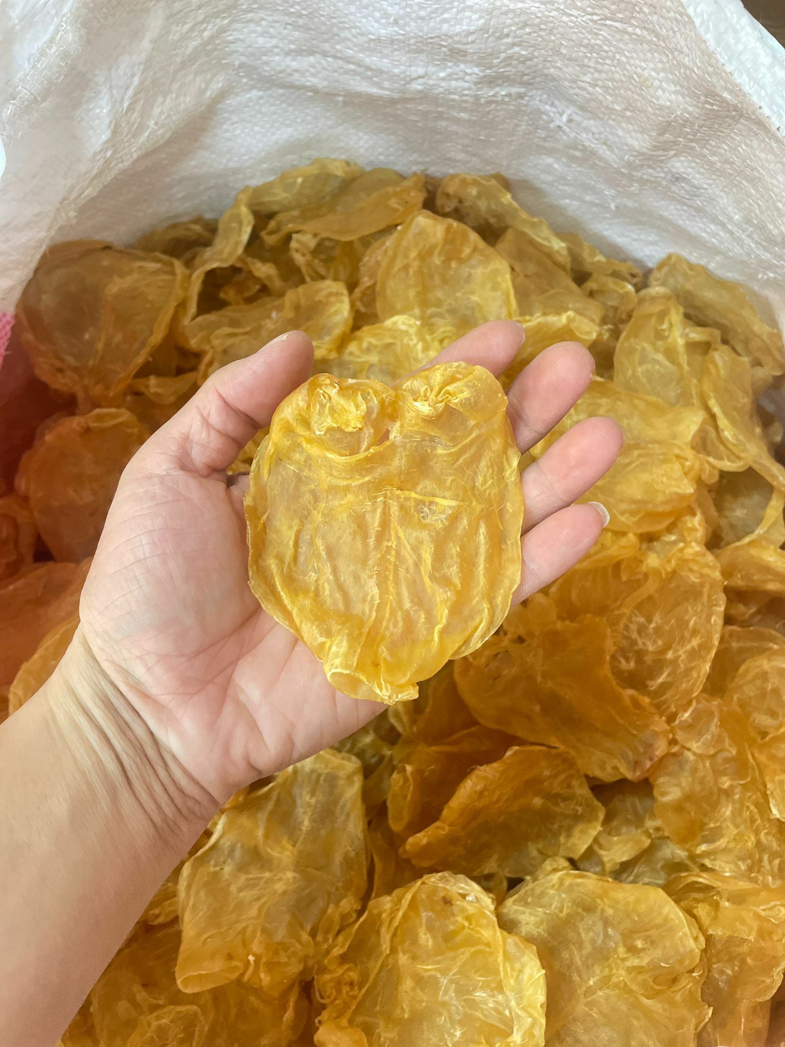 (483)花膠片75-80頭600g