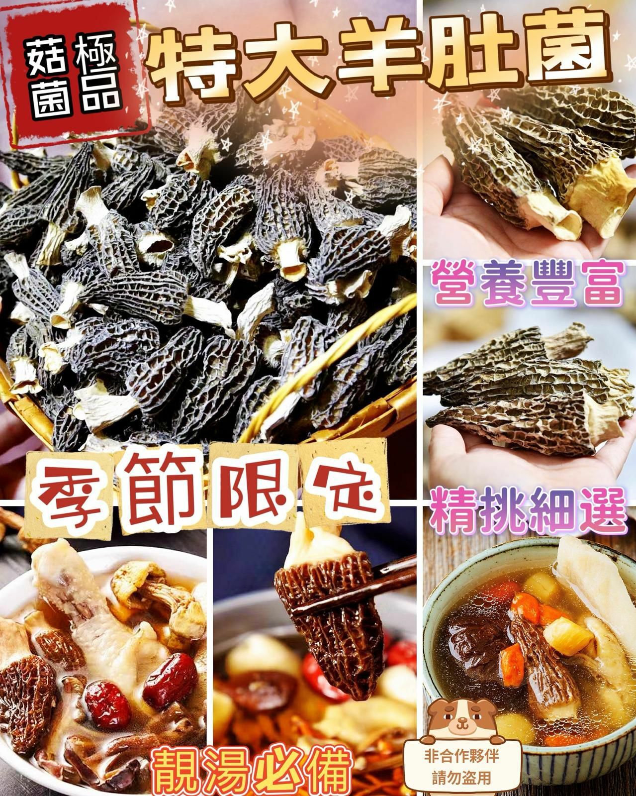 (491)西藏高原特大羊肚菌 150g