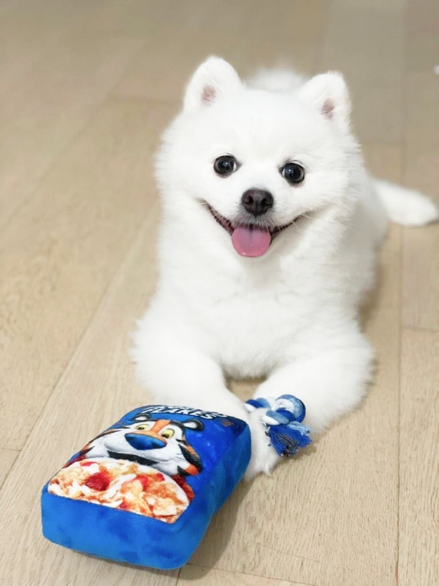 【Kellogg's 家樂氏】有聲狗狗結繩玩具