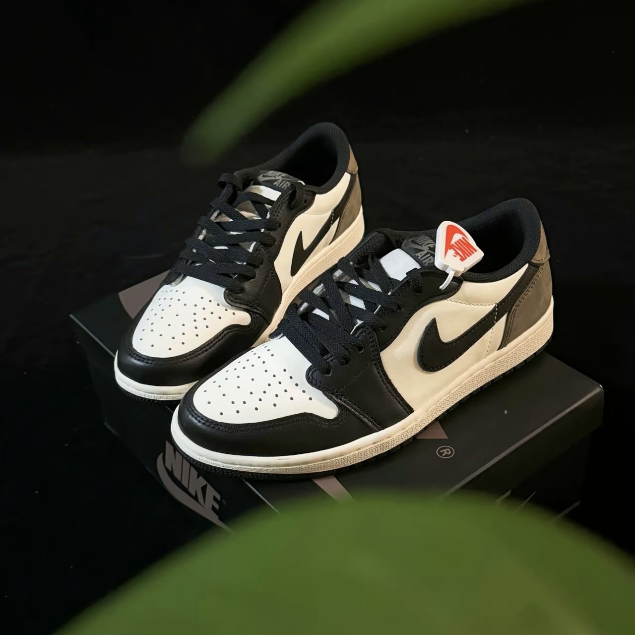 NIKE AIR JORDAN 1 LOW OG MOCHA GS 喬丹 摩卡 棕黑 大童款 CZ0858-102