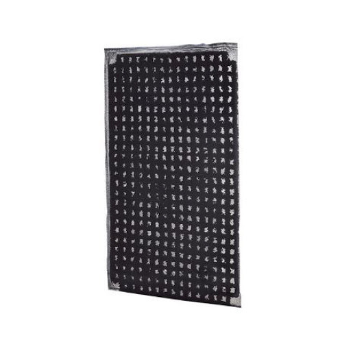 Panasonic 樂聲脫臭過濾網 F-ZXRD70Z