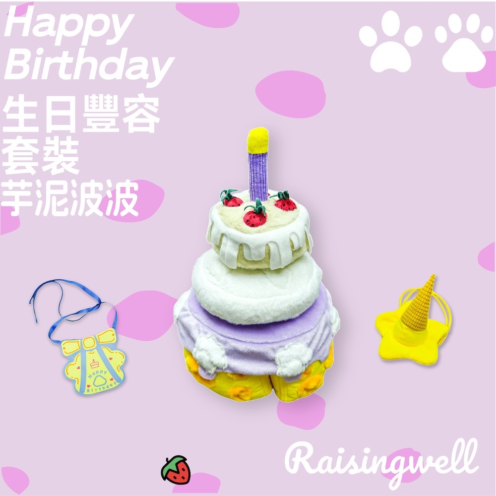 《 Raisingwell 》嗅聞藏食玩具｜生日大蛋糕（兩款）