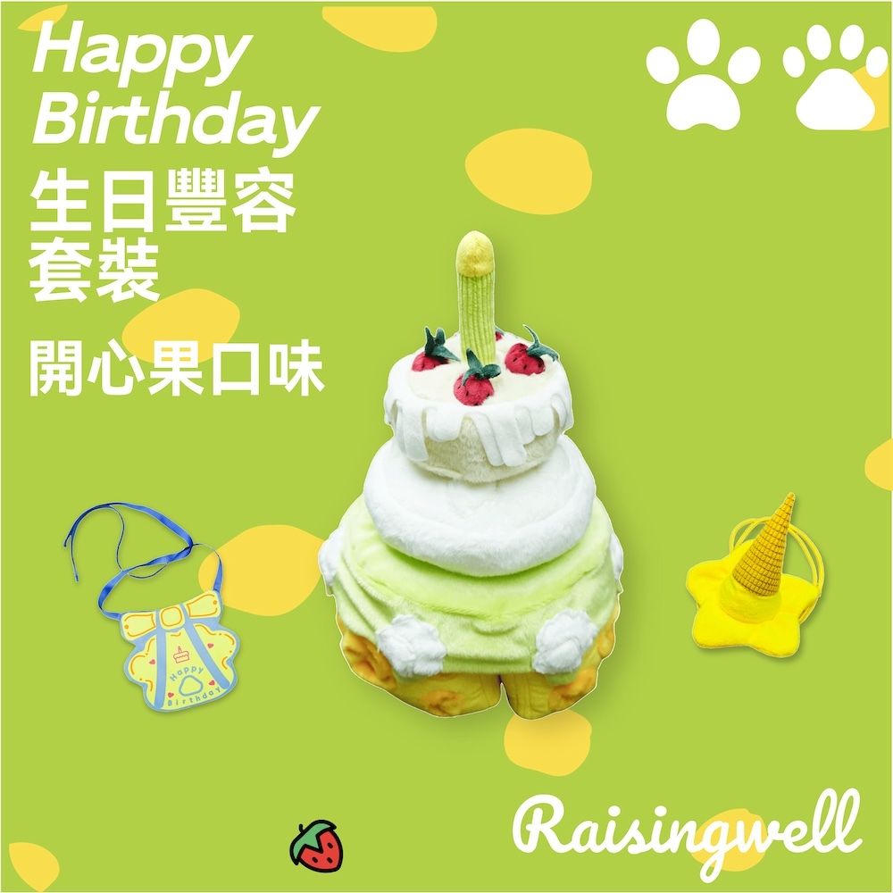 《 Raisingwell 》嗅聞藏食玩具｜生日大蛋糕（兩款）