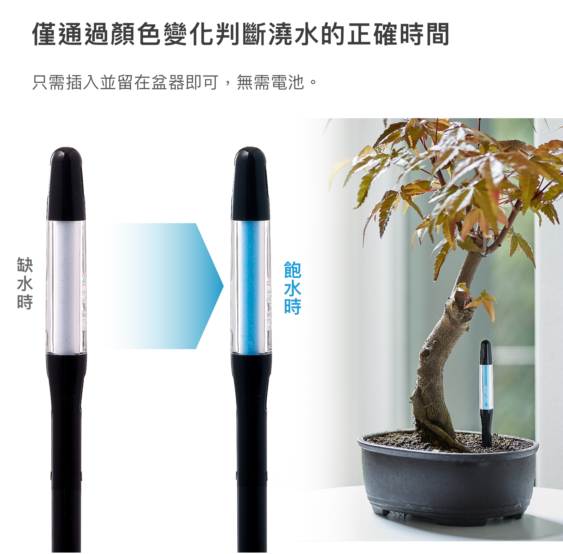 僅透過顏色變化判斷澆水的正確時間