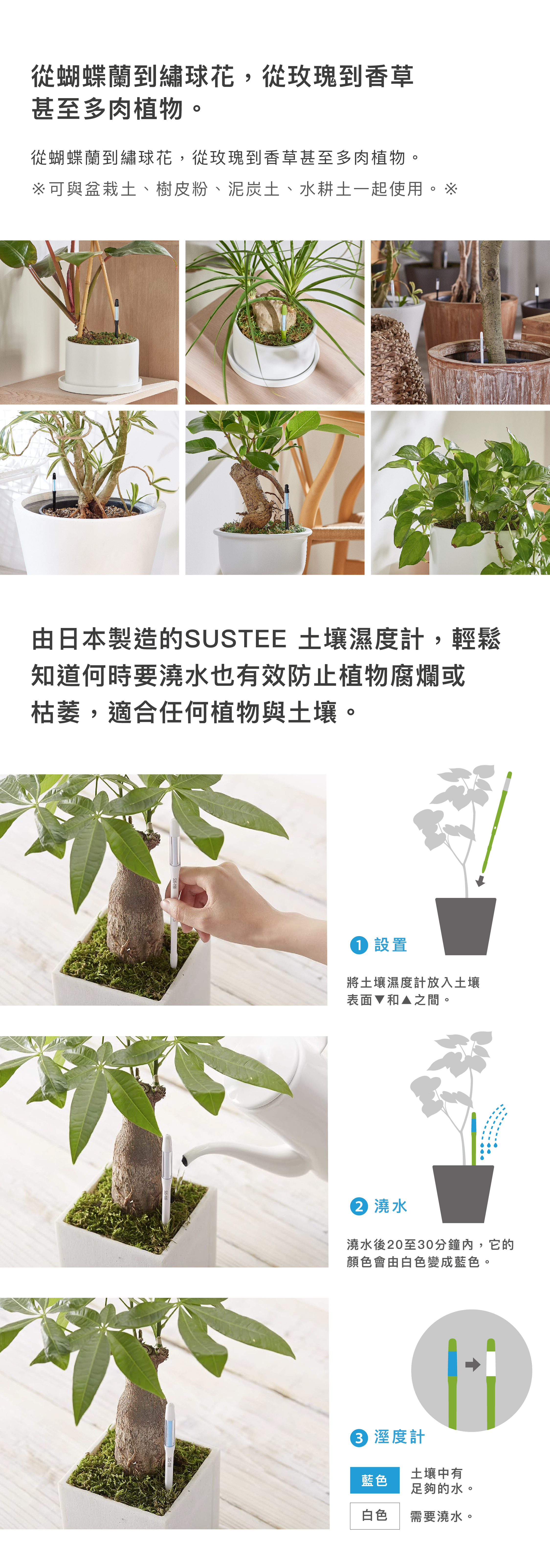 由日本製造SUSTEE土讓濕度計，輕鬆知道澆水時間及防止植物腐爛