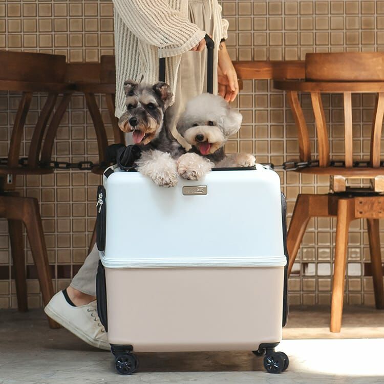 PETiCO｜ iCO 寵物拉桿推車(五色）