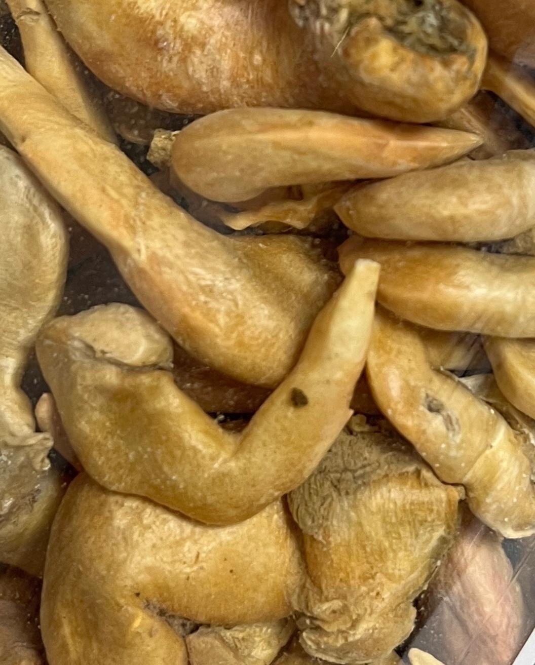 DCdogcatsnack 日本北寄貝凍乾 50g (貓狗食用）