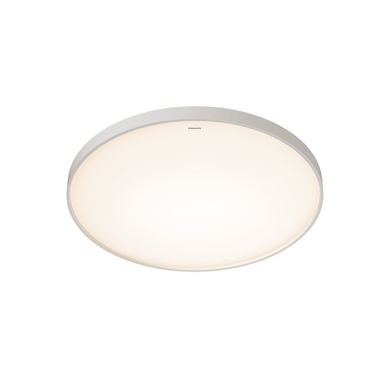 Leeのルームライト ZX306 / ZX307 Ceiling Light