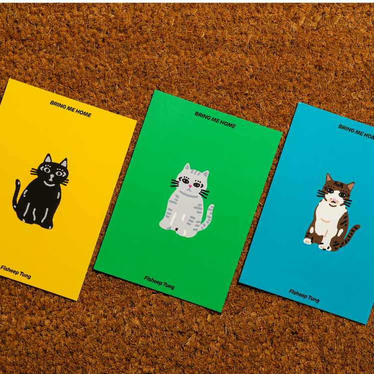 【A君B子 akunbko】貓咪明信片