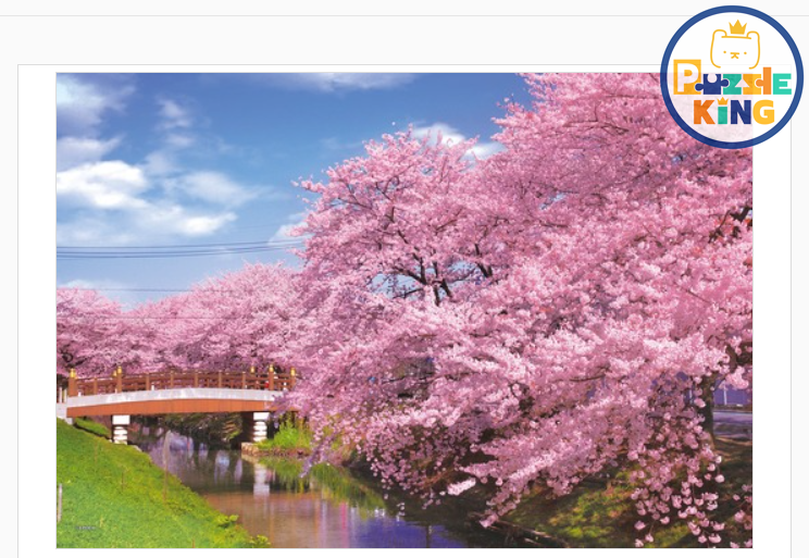 埼玉縣新河的櫻花