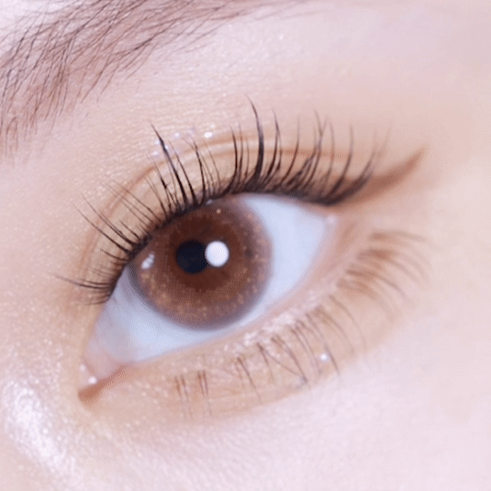 [日拋] moody Lenses Cosmo Disco 1 Day Stardew Romance 薔薇星露｜彩妝隱形眼鏡｜每盒10片