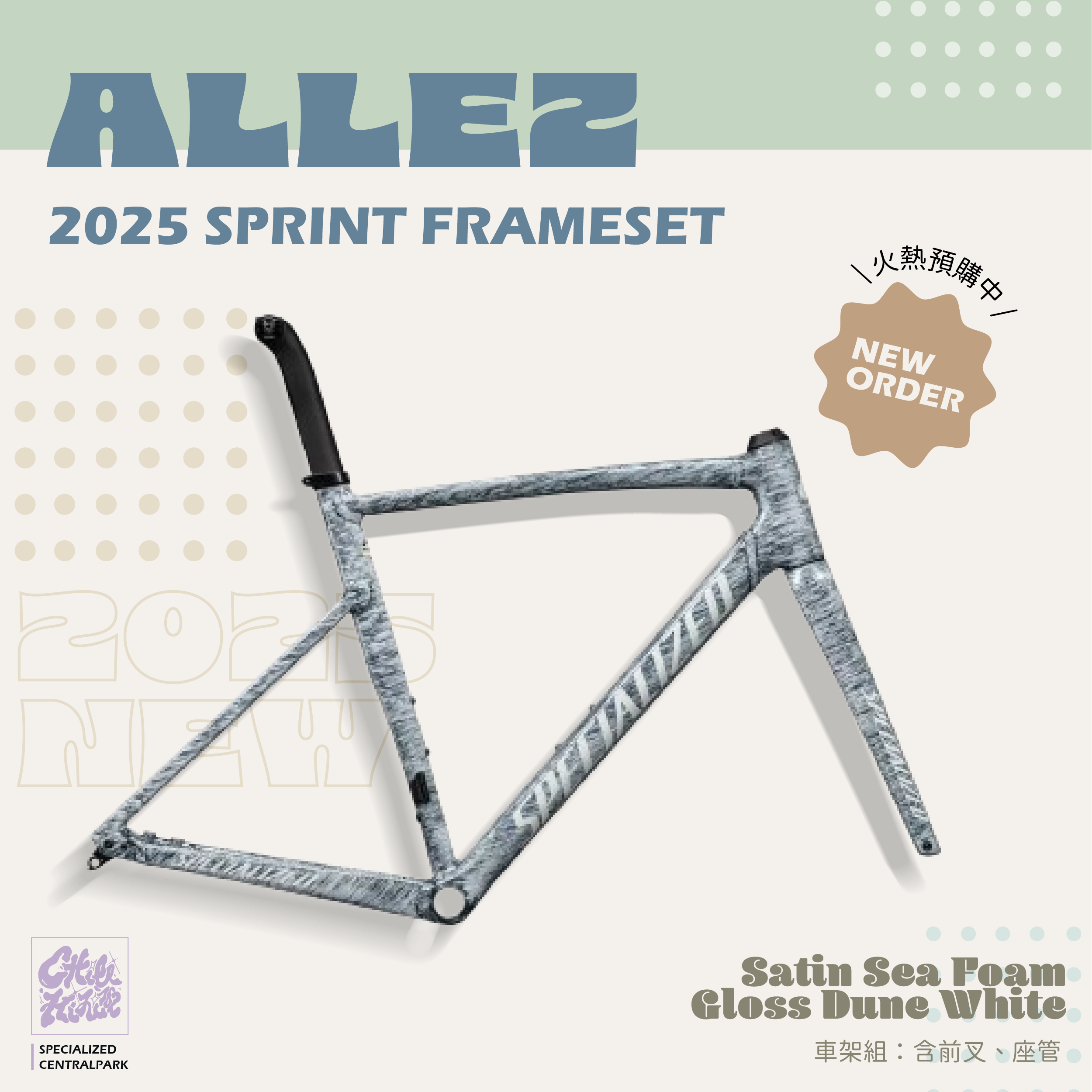 【Specialized】Allez Sprint 車架組 / 灰藍泡沫