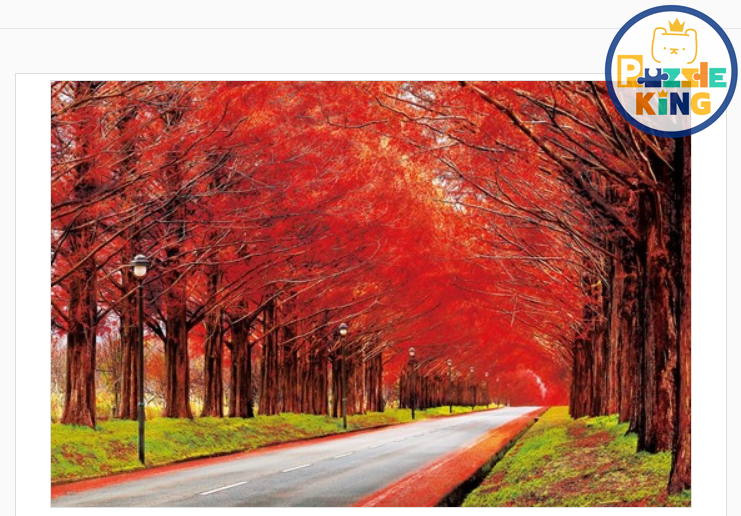 秋葉水杉林蔭大道-滋賀縣