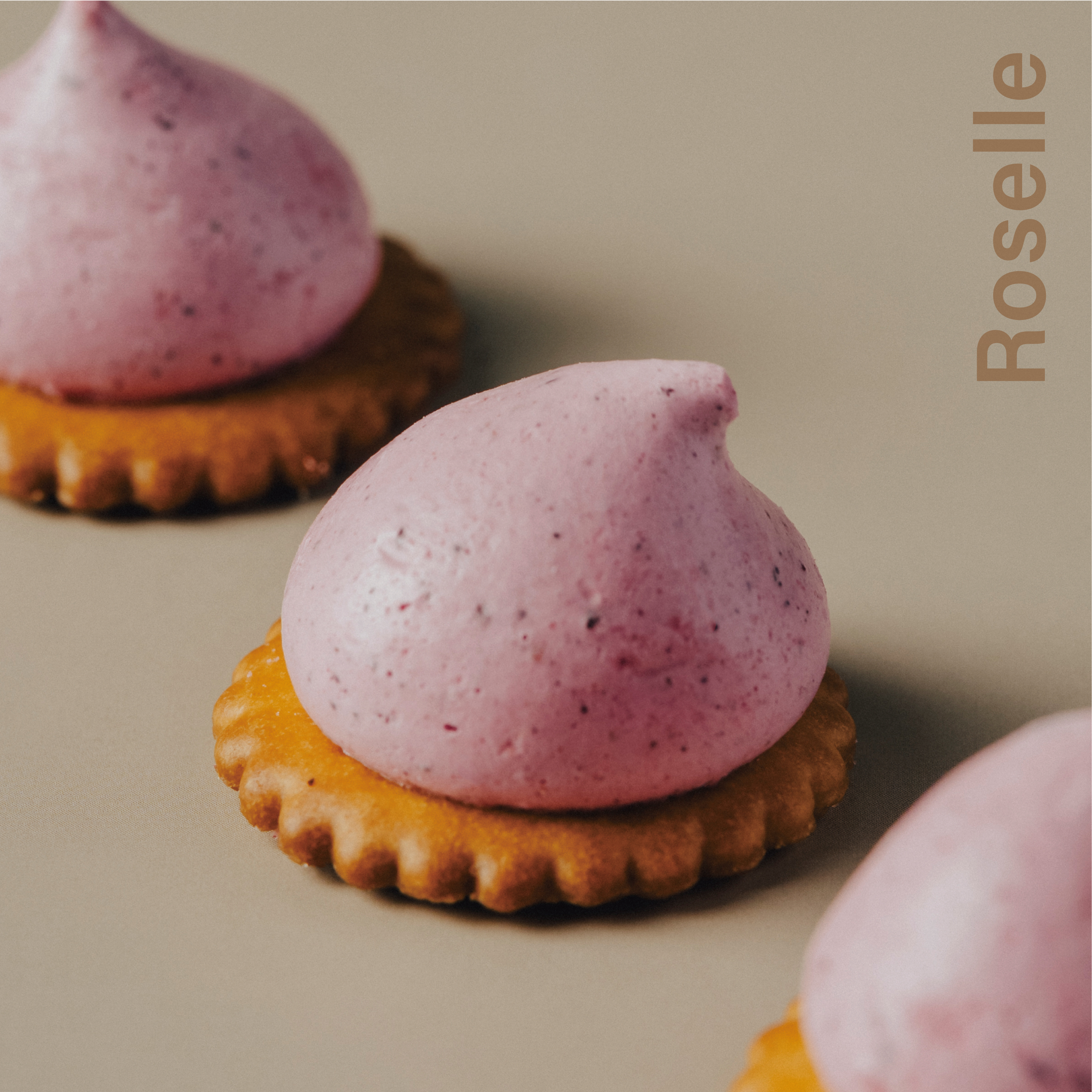 洛神花 - 追劇包