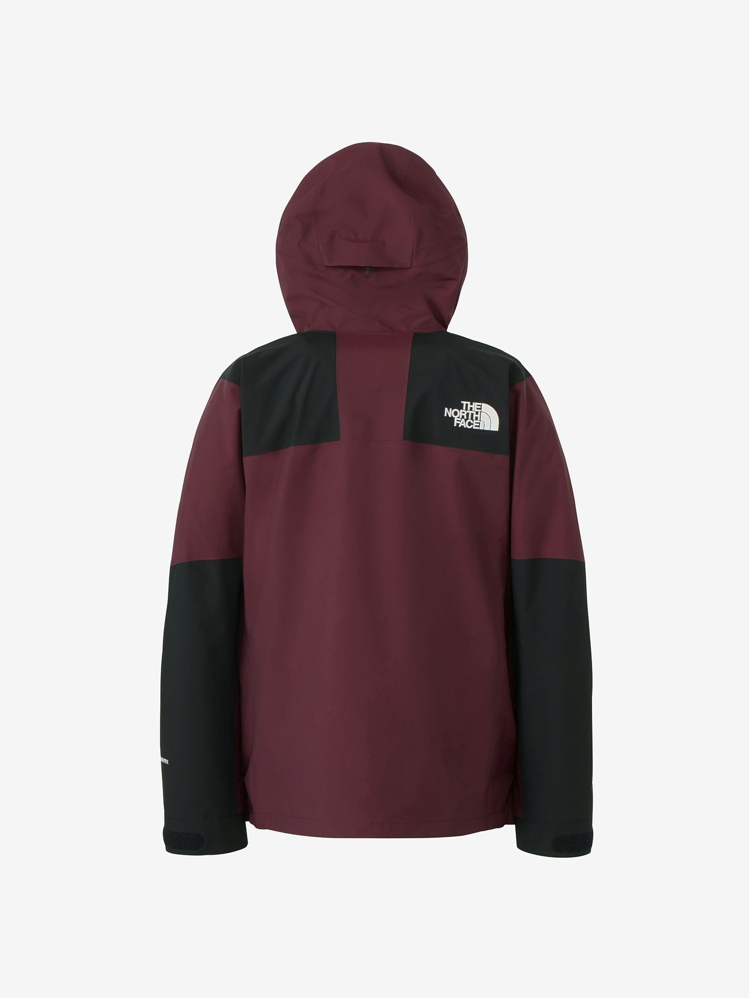 JP The North Face Mountain Jacket Gore Tex Men