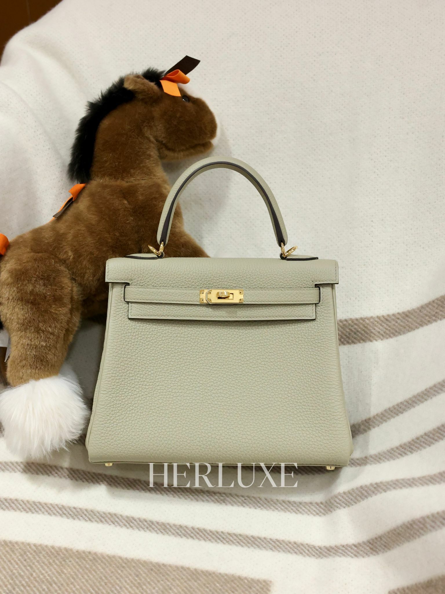 Kelly 25 Q1 sauge cc togo W