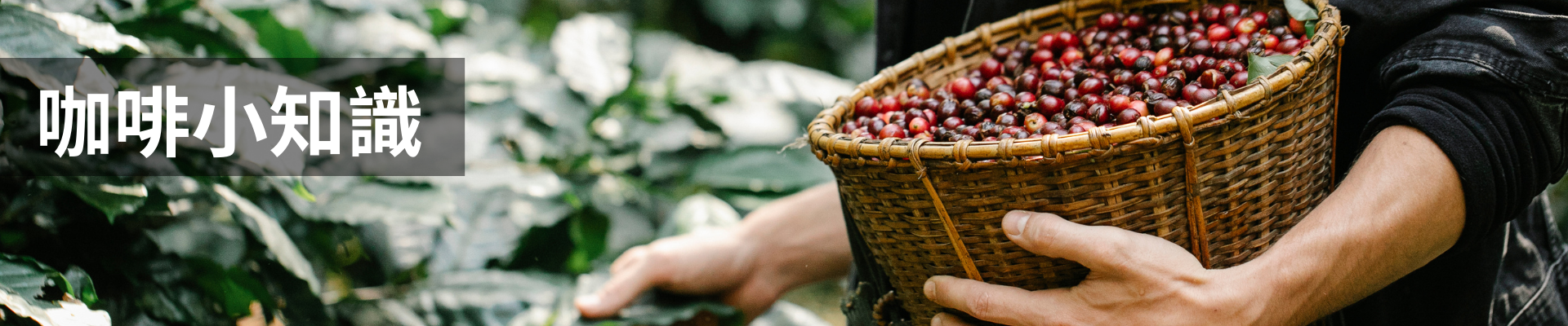 咖啡小知識｜暖窩咖啡 部落格文章