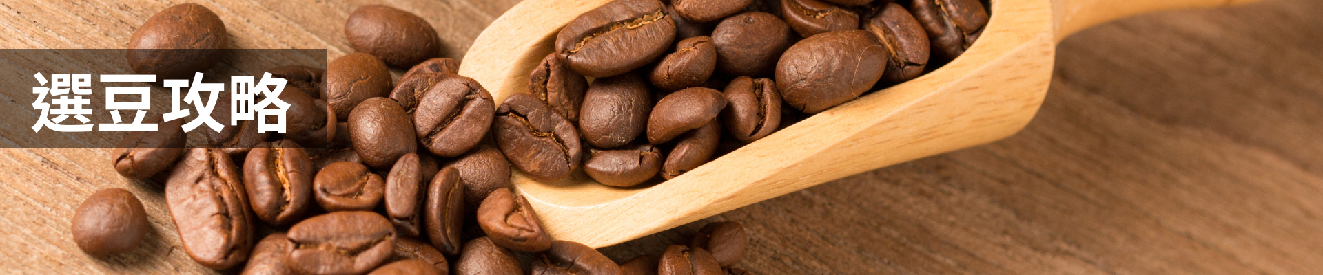 挑選咖啡豆攻略｜暖窩咖啡 部落格文章