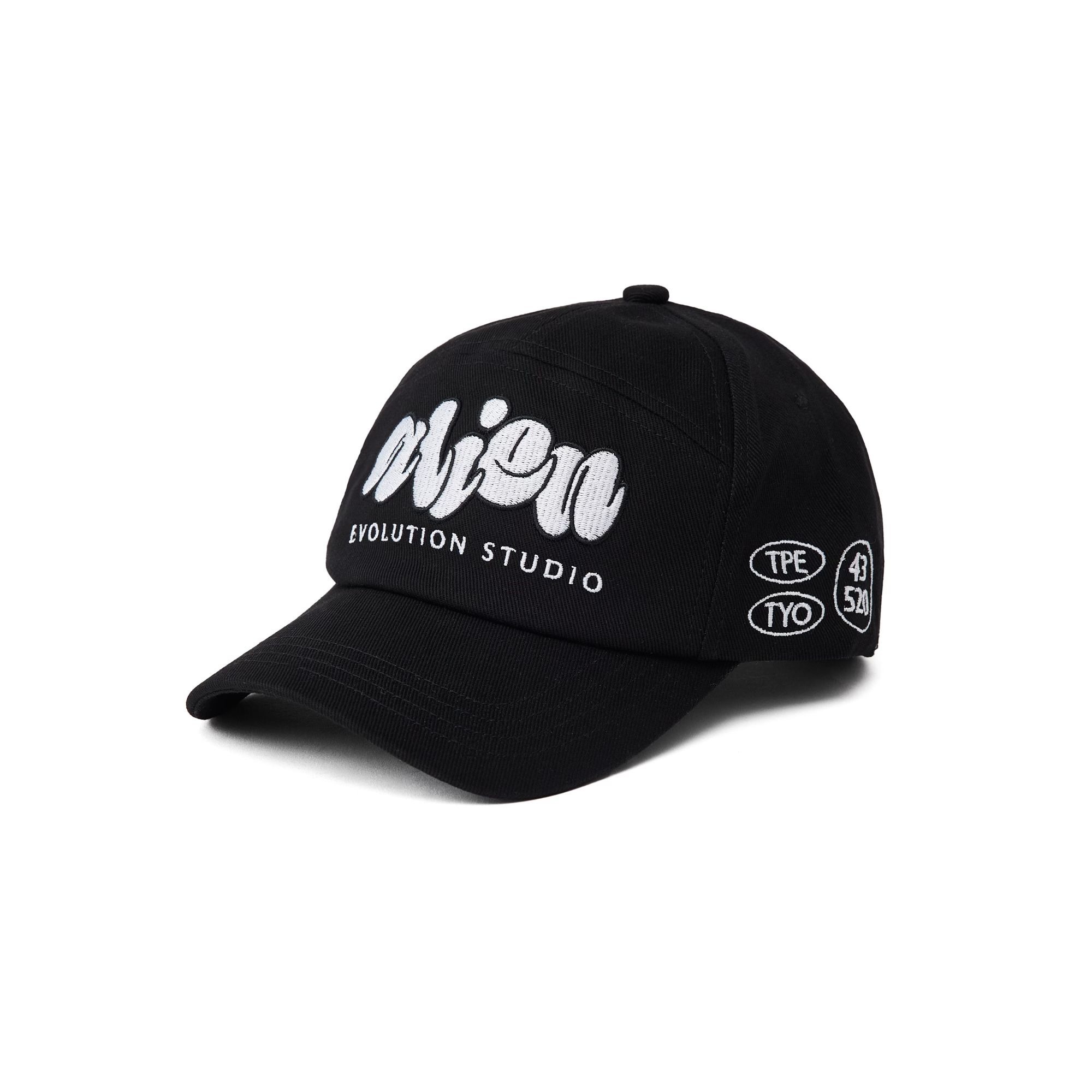 AES Aesdw Embroidery Baseball Cap