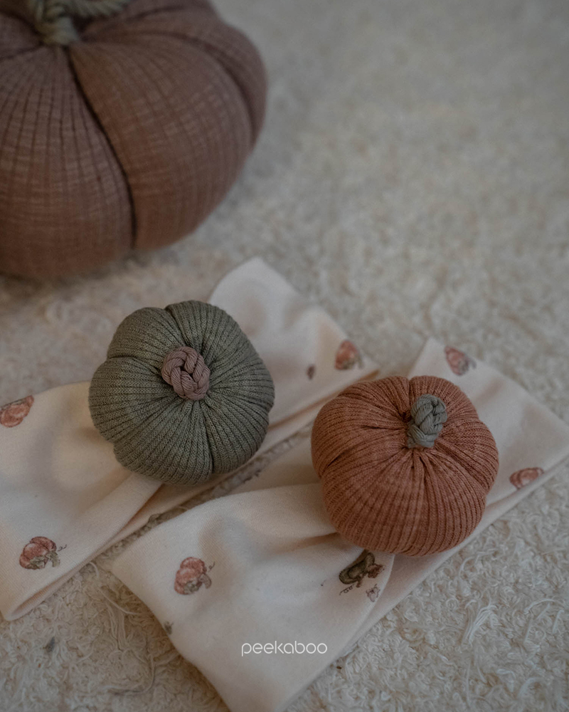Pumpkin 髮帶