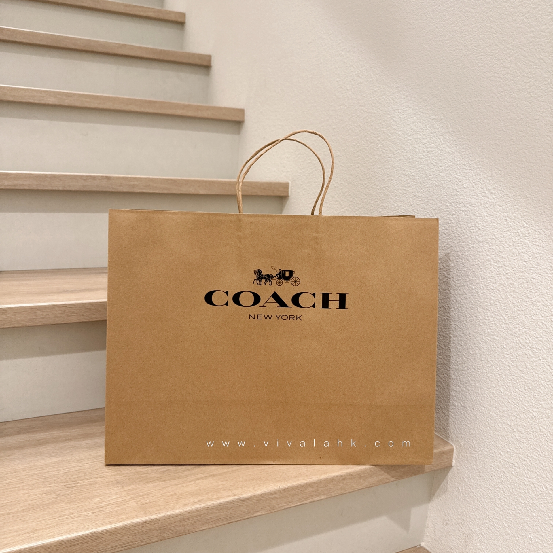 Coach - 紙袋 (中)