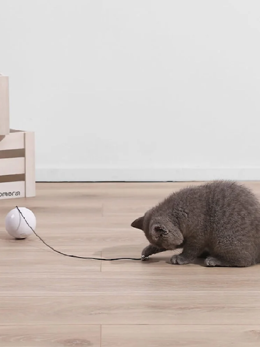 【Homerunpet 霍曼】智能小魔球