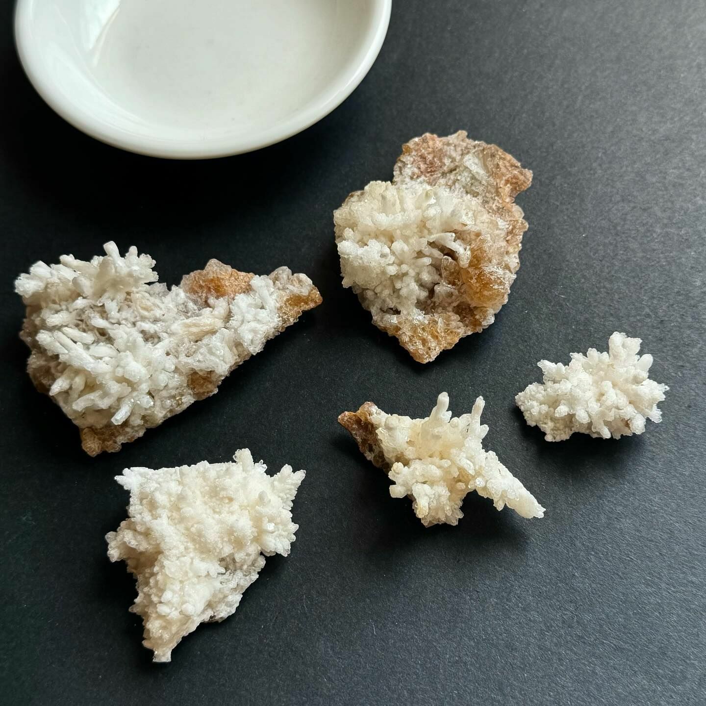 [原石] 白珊瑚 原礦