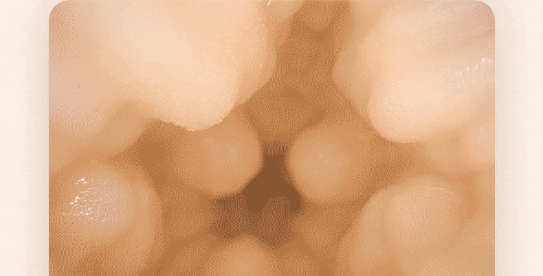 ak,ak YOUNG,ak 奶茶杯,奶茶飛機杯,ak 飛機杯,飛機杯,自慰杯,自慰套,自慰蛋,重複使用飛機杯,重複性飛機杯,重複飛機杯