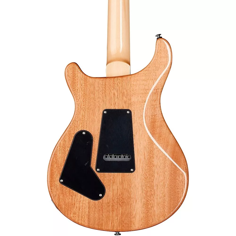 PRS PRS SE Custom 24 LTD EDITION BF 限量版 電吉他 第 3 張圖片｜三峽弦樂器