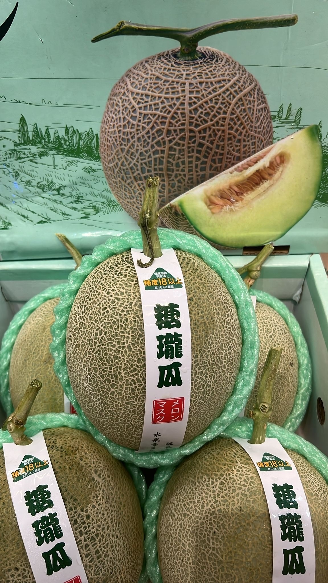 中國糖瓏蜜瓜